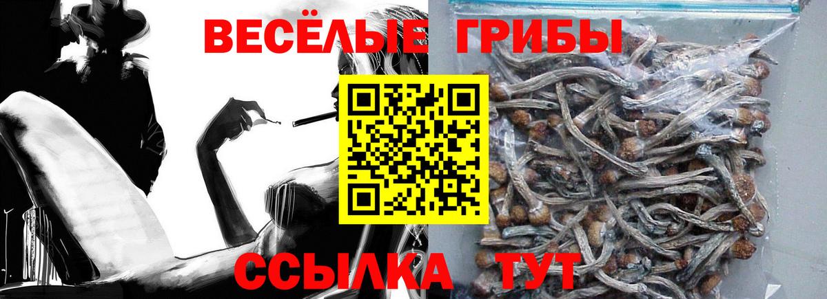 Псилоцибиновые грибы мухоморы  Вход с VPN  Тихорецк 